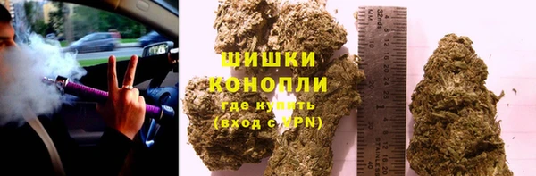 МДПВ Краснослободск