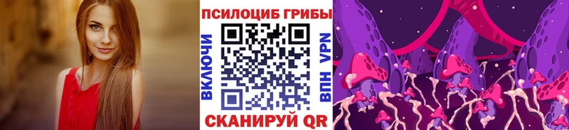 Купить закладки  Лесосибирск  Галлюциногенные грибы Psilocybine cubensis 